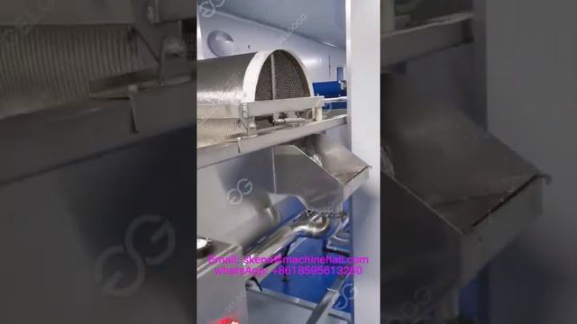 Celery Washing Machine For Salad Processing Machine смотреть онлайн