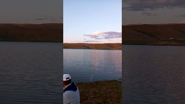 Алмалы рыбалка смотреть онлайн