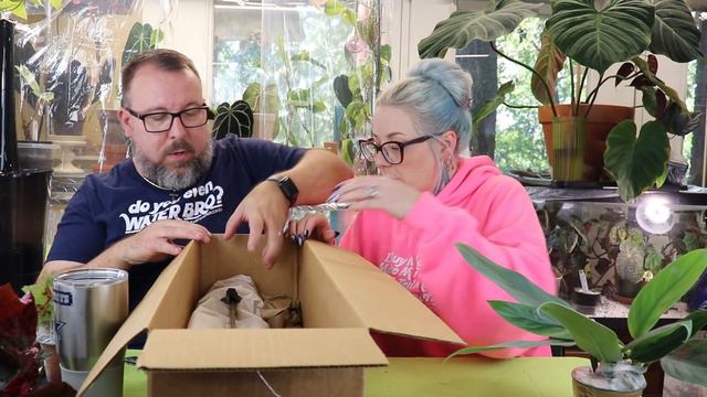 House Plant Unboxing from Steve's Leaves смотреть онлайн