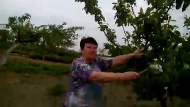 Искусственное опыление смотреть онлайн