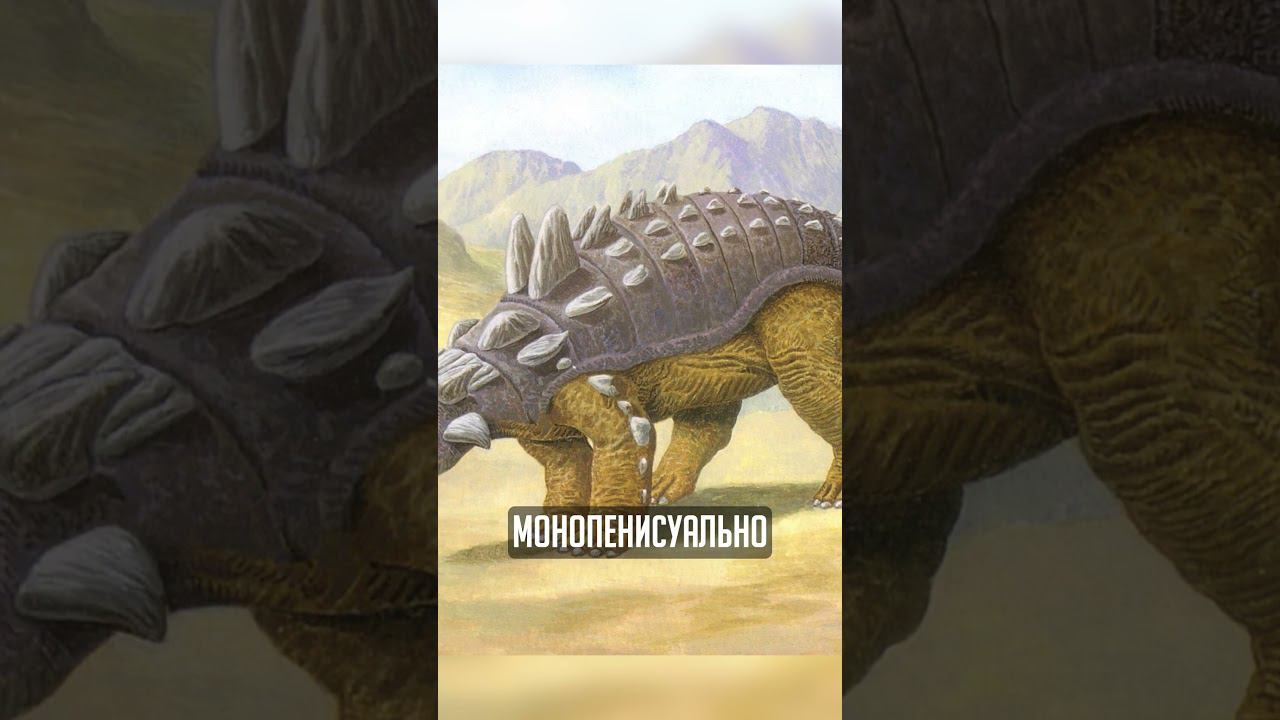 САМАЯ ЗЛАЯ ЕДА ИМПЕРИУМА!!?? #вархаммер #warhammer40000 #warhammer #warhammer40 #wh40k #emperium смотреть онлайн