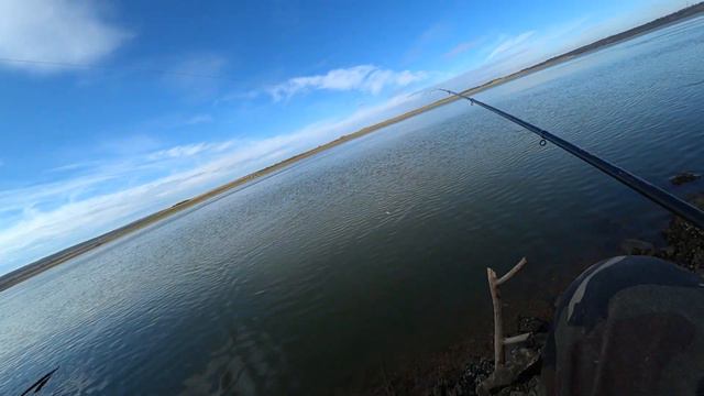 Болонская Удочка. Рыбалка на водохранилище реки Прут смотреть онлайн