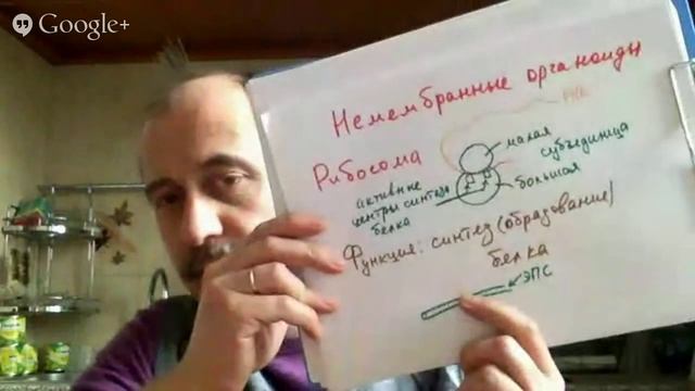 биология 9 класс смотреть онлайн