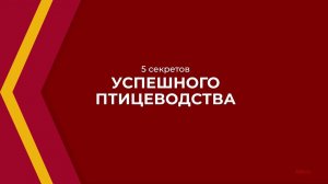 Онлайн курс обучения «Птицеводство» - 5 секретов успешного птицеводства