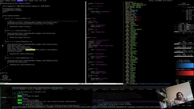 Practising Programming in C: 166 - Cinera: Config File Parsing, More Absorption смотреть онлайн