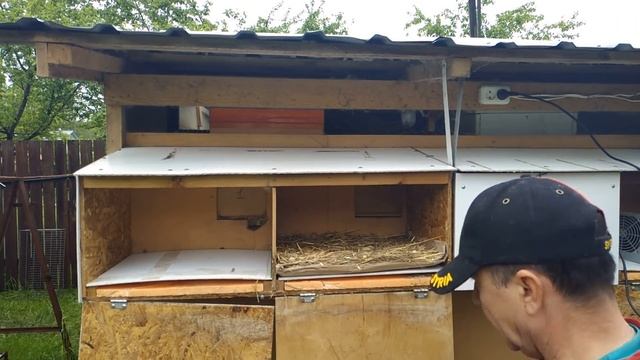 ЯЩИК С ДЫРКОЙ ДЛЯ КРОЛИКОВ И ПЕЧЕНЬ КРОЛИКА выращивание кроликов