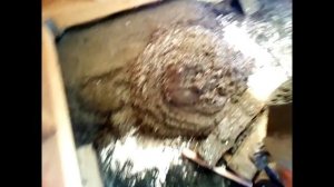 Утепленные полы по грунту, в каркасном доме.