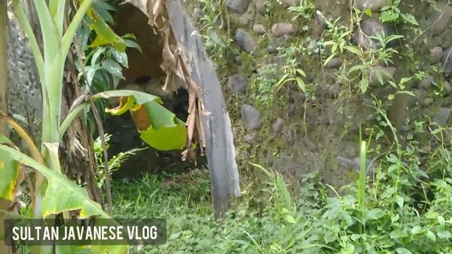 Kok Bisa Ada Gerbong Kereta Di Pinggir Sungai? Lokasi Desa Blabar Rakit, Banjarnegara