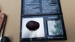 Виноград ГФ Черный хрусталь (Бурдак А. В.)