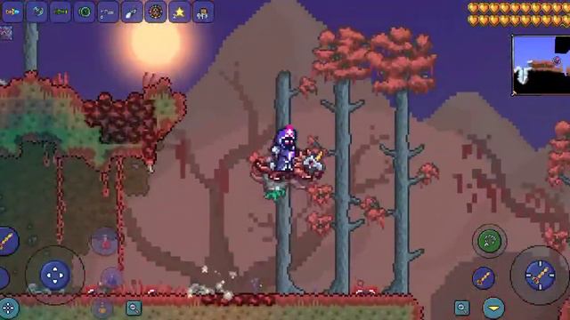 semilla alas de polluelo Terraria 1.4.4 (tarde pero lo hice) смотреть онлайн