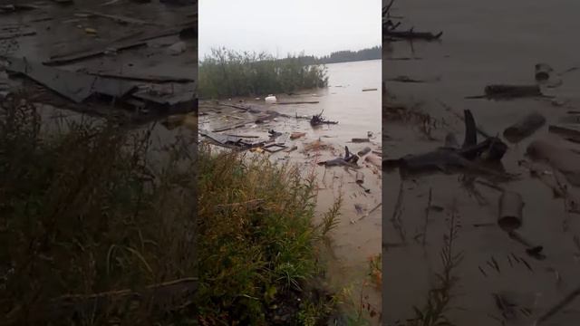 Река Колыма 07.09.2019 смотреть онлайн