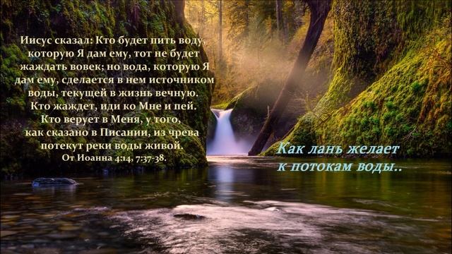 Как лань желает к потокам воды..