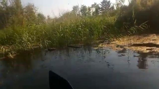 На Ангаре 25 июля 2019 смотреть онлайн