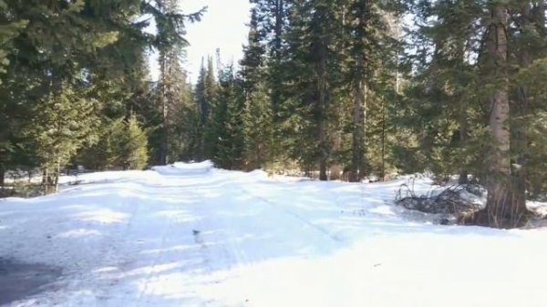 Народный календарь 10 марта