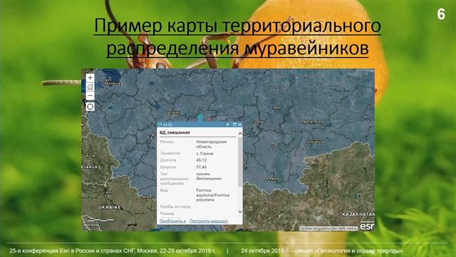 Информационное обеспечение проекта "Monitoring Formica" в европейской части России. ННГУ смотреть онлайн