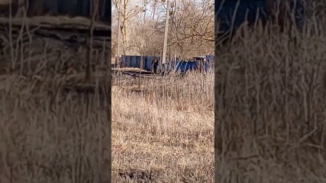 РЕБЯТА ШОК ТИКАЕМ ОТ СОСЕДЕЙ МЕНЯ НАЗВАЛИ АХ ТЫ СУЧО#НОК❤️#рекомендации смотреть онлайн