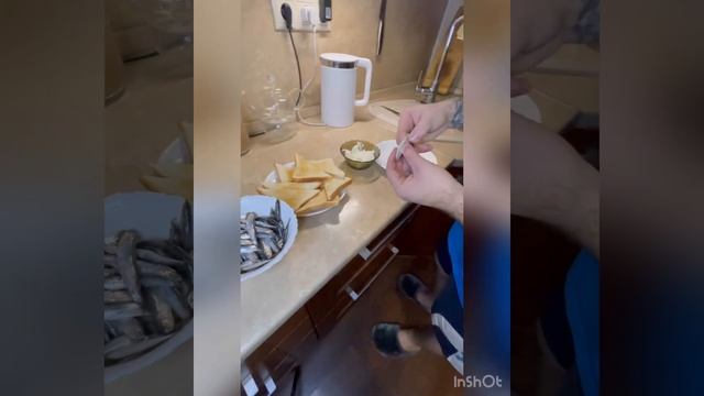 Бутерброды с хамсой как в детстве:?