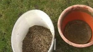 Как сделать воду в садовом пруду чистой и прозрачной