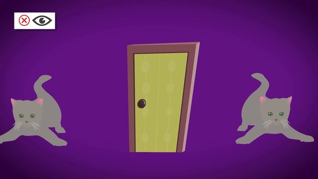 How to Introduce Cats смотреть онлайн