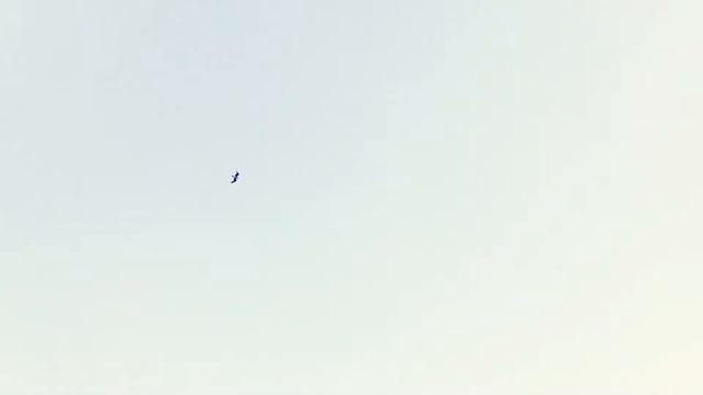 Беломорканал - Пристань вечной тайги | кавер