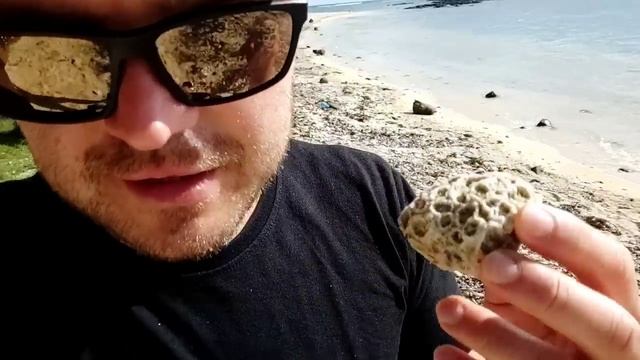 Маврикий. Обзорная экскурсия и пешая прогулка. Что за остров Маврикий?