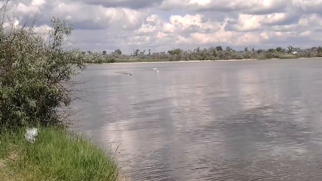 Гонки лодок FSR V 3.5/Racing boats FSR V 3.5 смотреть онлайн