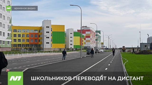 ШКОЛЬНИКОВ ПЕРЕВОДЯТ НА ДИСТАНТ смотреть онлайн