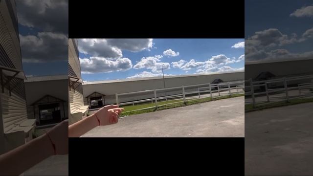 VLOG С СОРЕВНОВАНИЙ ПО ВЫЕЗДКЕ? смотреть онлайн