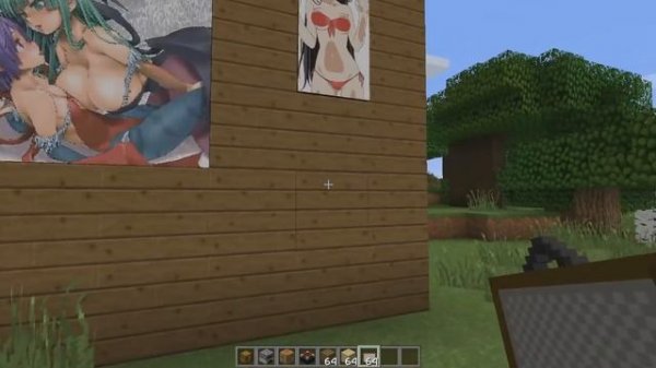 Minecraft: Hentai/Ecchi Texture Pack! +18!