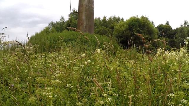 Мёду БЫТЬ!!! Наша медоносная база растений смотреть онлайн