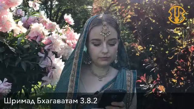 Центр развития харинамы смотреть онлайн