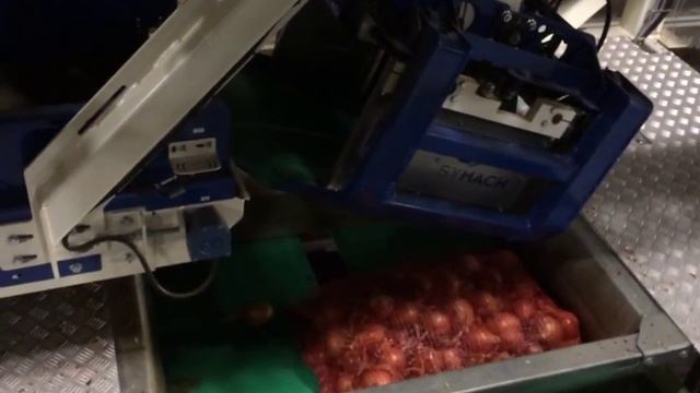 Заготовка, упаковка и хранение лука максимально... смотреть онлайн