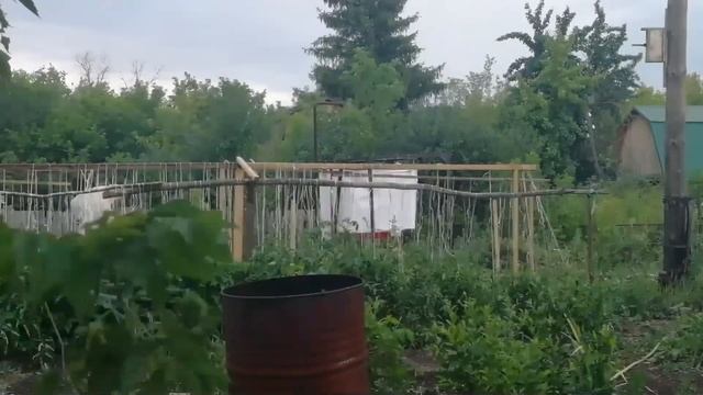 Живу на даче в гордом одиночестве. Что творю? Часть первая... смотреть онлайн