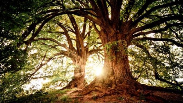 ENIGMA / Enigma chillout / Enigma tic / Enigmatic / Энигма