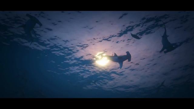 GTA 6: Grand Theft Auto VI - Official Fanmade Trailer - Xbox One (XONE), PS4 - Gameplay Trailer смотреть онлайн