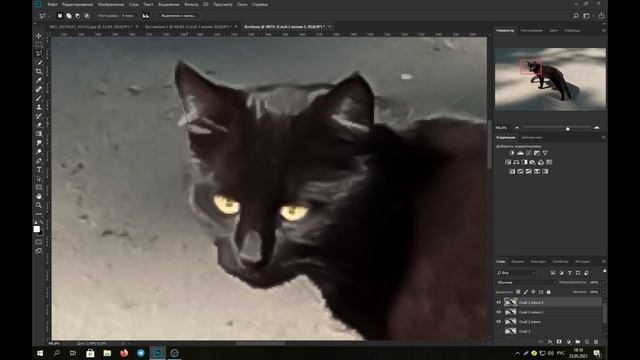 Photosop редактирование настройка цветов и работа с инструментами фотошоп на примере котейки