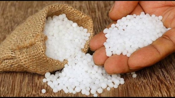 Азотные удобрения для перцев