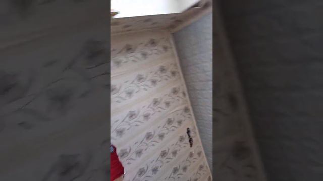 КАКОЙ МАЕНКРАФТ ЛУТШЭ 1.12.2 ИЛИ1.17.0.50 смотреть онлайн