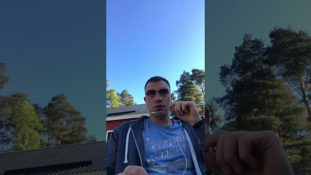 Дві матки в одному вулику. Бджільництво Фінляндії. смотреть онлайн