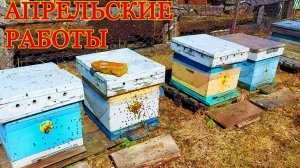 пчёлы весной/работаем на пасеке