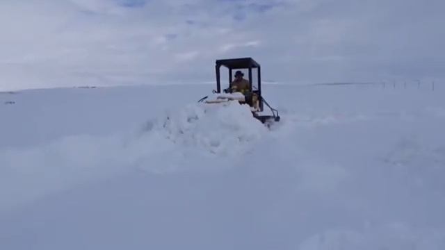 D4 Plowing Feeding Runs смотреть онлайн