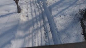 Проходимость мотобуксировщика.Как нас дурят "обзорщики" мотобуксировщиков..."Снега по пояс"...