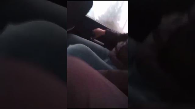 28 ноября 2023 г.