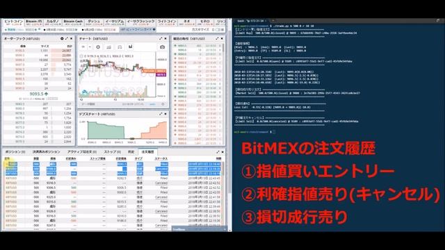 Pythonを使ってBitMEXのAPIからエントリー＆TP/SLを一括発行 смотреть онлайн