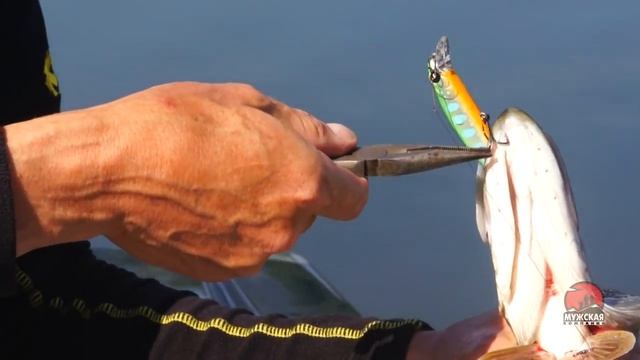 Ловля щуки на реке смотреть онлайн