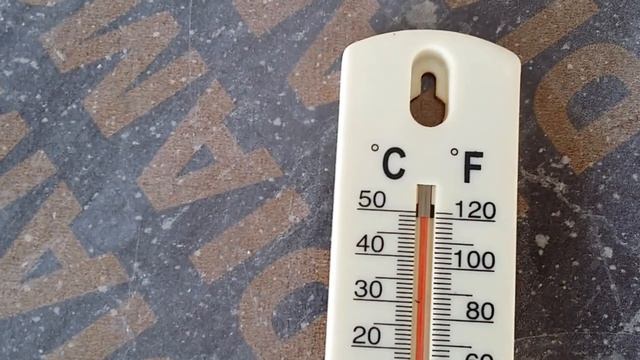 Туркменистан.Turkmenistan. Небит-Даг. Жара,грибы пошли страусы разбежалисья +70°!