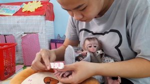 The smart baby monkey Lyly knows how to help her mother get things!