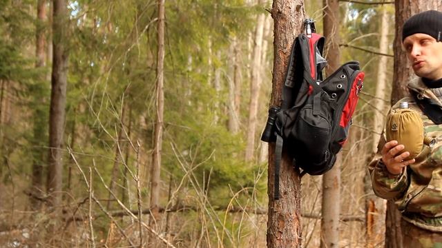 лесной прохват / поиск нового места...