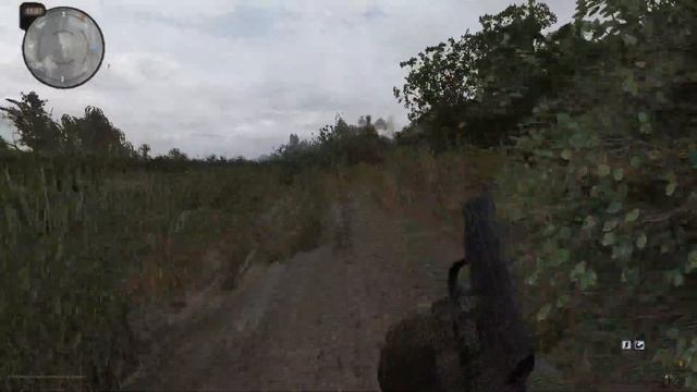 S.T.A.L.K.E.R. Anomaly 1.5.0[BETA 3.0]. Как пройти к болотному доктору. Живая легенда-старый друг.