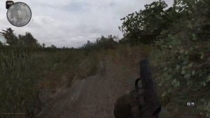 S.T.A.L.K.E.R. Anomaly 1.5.0[BETA 3.0]. Как пройти к болотному доктору. Живая легенда-старый друг.